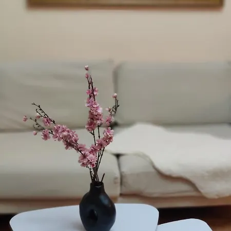 In Center Apartment *