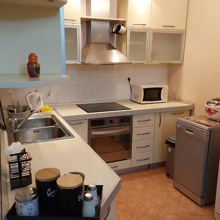 Apartment In Center