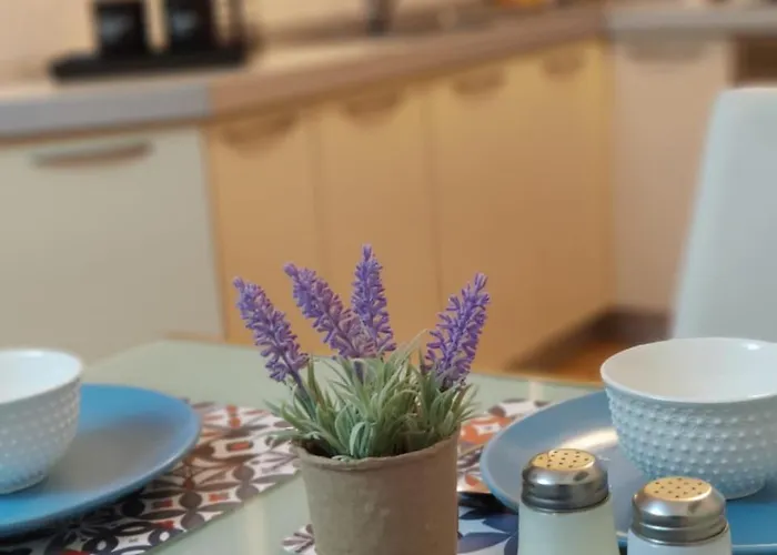 In Center Apartament